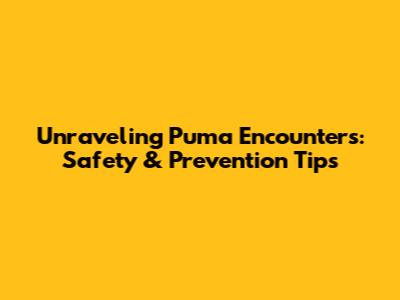 Unraveling Puma Encounters: Safety & Prevention Tips