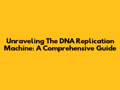 Unraveling The DNA Replication Machine: A Comprehensive Guide
