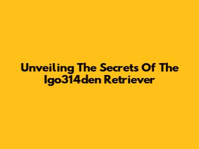 Unveiling The Secrets Of The Igo314den Retriever
