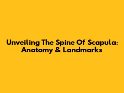 Unveiling The Spine Of Scapula: Anatomy & Landmarks
