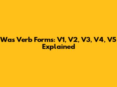 Was Verb Forms: V1, V2, V3, V4, V5 Explained