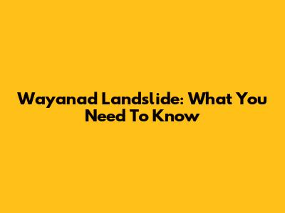 Wayanad Landslide: What You Need To Know