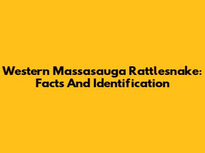 Western Massasauga Rattlesnake: Facts And Identification
