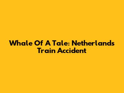Whale Of A Tale: Netherlands Train Accident