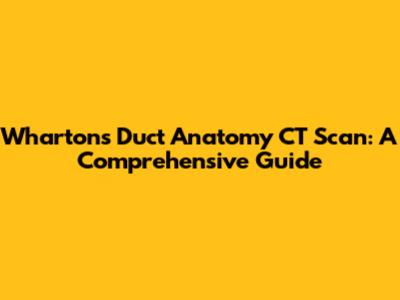 Wharton's Duct Anatomy CT Scan: A Comprehensive Guide