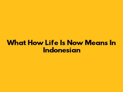 What "How Life Is Now" Means In Indonesian