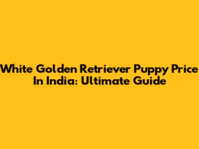 White Golden Retriever Puppy Price In India: Ultimate Guide