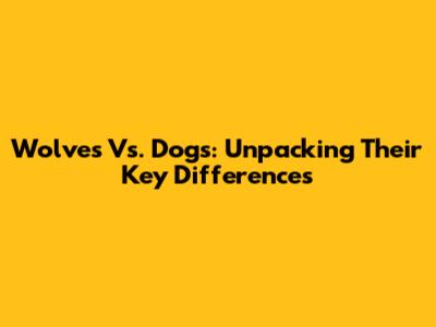 Wolves Vs. Dogs: Unpacking Their Key Differences