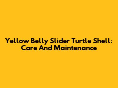 Yellow Belly Slider Turtle Shell: Care And Maintenance