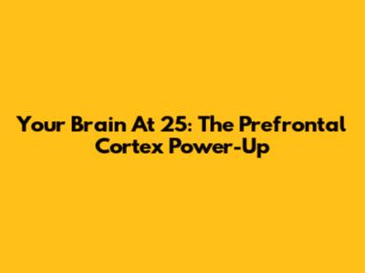 Your Brain At 25: The Prefrontal Cortex Power-Up
