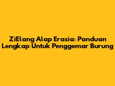 ZiElang Alap Erasia: Panduan Lengkap Untuk Penggemar Burung